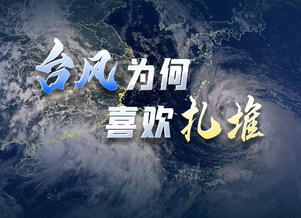 数据新闻丨台风为何喜欢扎堆？最多六台风同时出现！