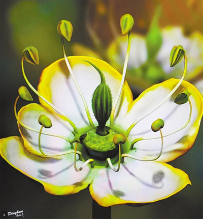 一朵1500万年前的花 能让我们接近花朵演化的真相吗（1）.jpg